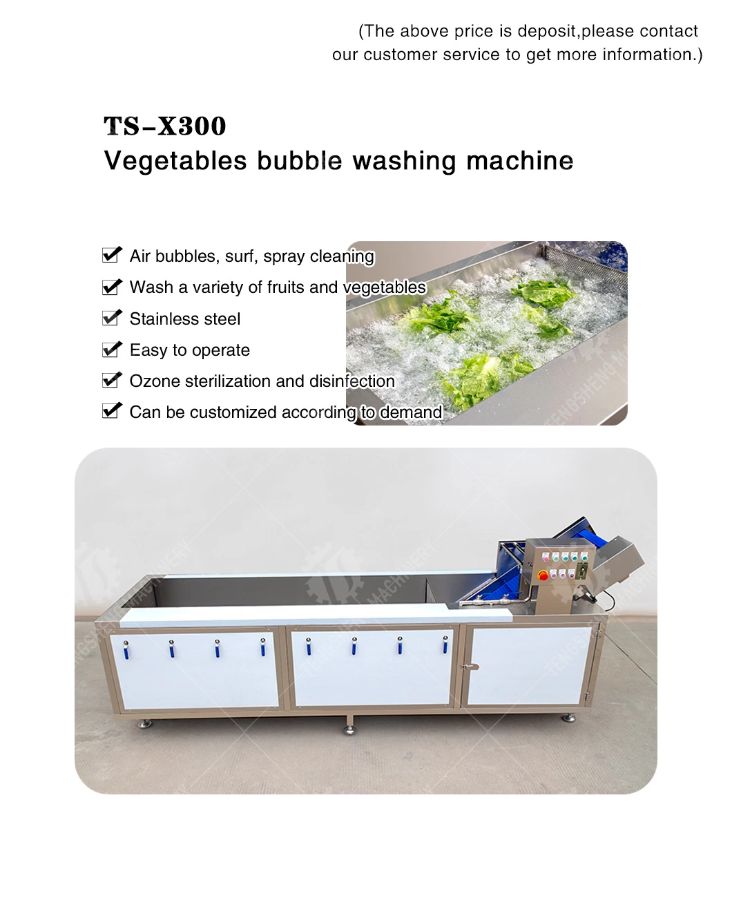 Industrial Automatic Food Processor Fruit Vegetable Ozone Bubble Washer Ultrasonic Ginger Cassava Washing Machine Ts-X300